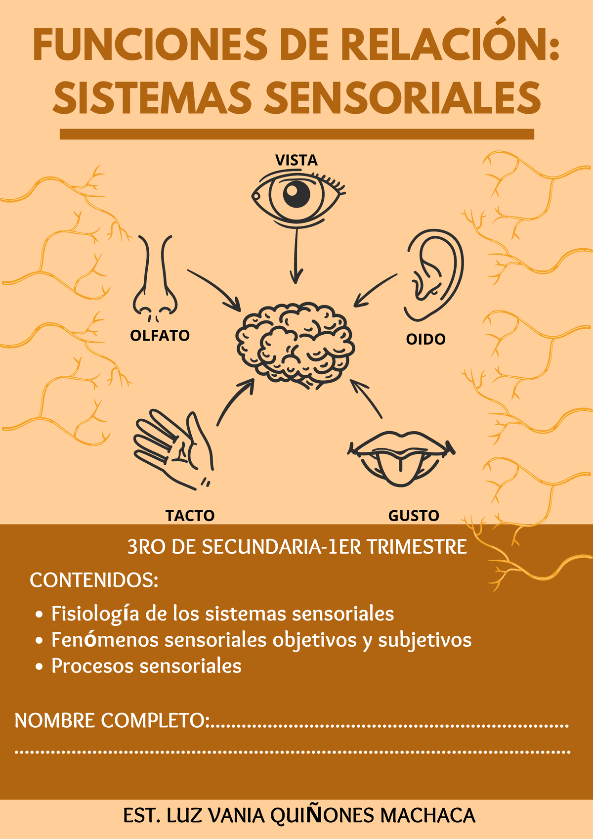 Guía de Estudio: Sistema Sensorial 3RO DE SECUNDARIA 1ER TRIMESTRE ...