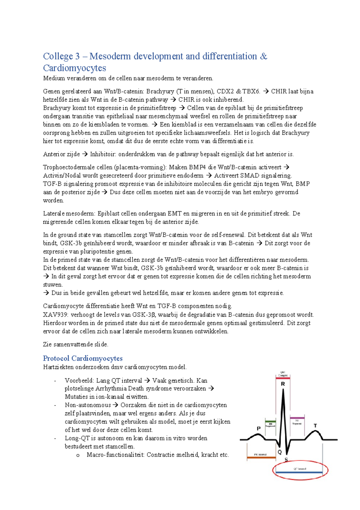 College 3 - Mesoderm Differentiation & Cardiomyocyte Development ...