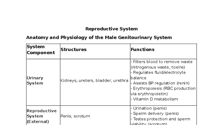 Reproductive System Anatomy & Physiology Lecture Notes (BIO 101) - Studocu
