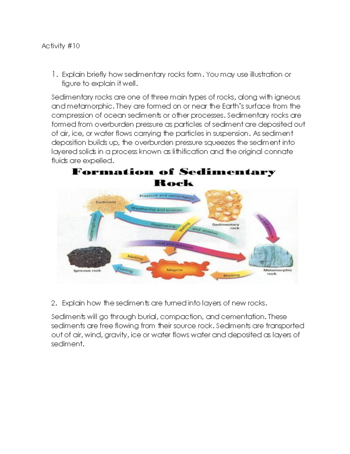 Rocks - Activity # 1. Explain briefly how sedimentary rocks form. You ...