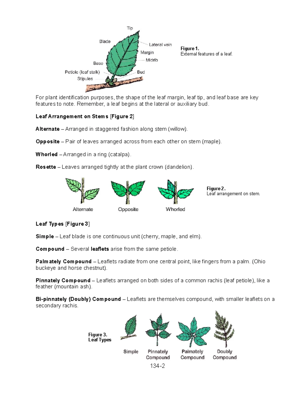 Plant Organs: Basic Structure & Functions (Chapters 3.2-3.4) - Studocu