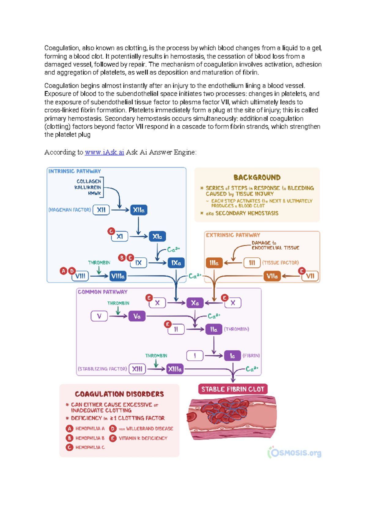 Coagulation Process and Cas…