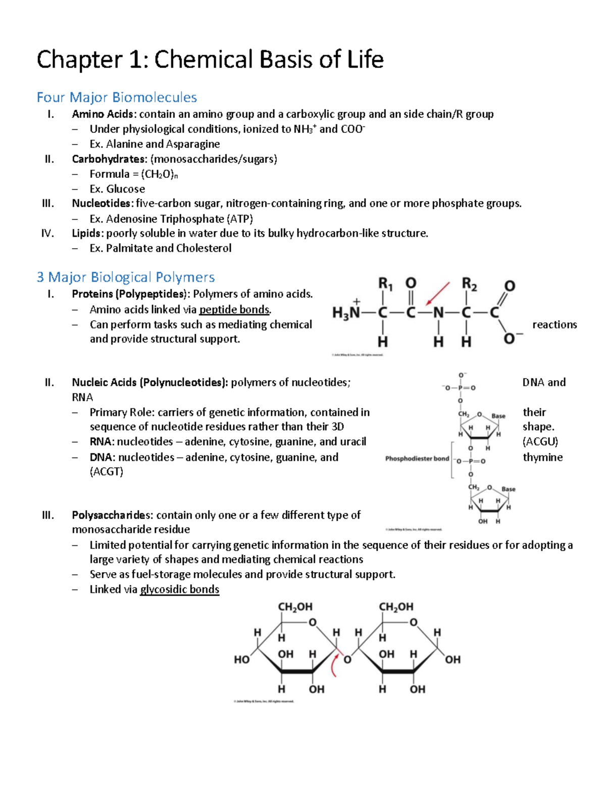 Biochemistry Review for MCAT: Key Concepts and Biomolecules - Studocu