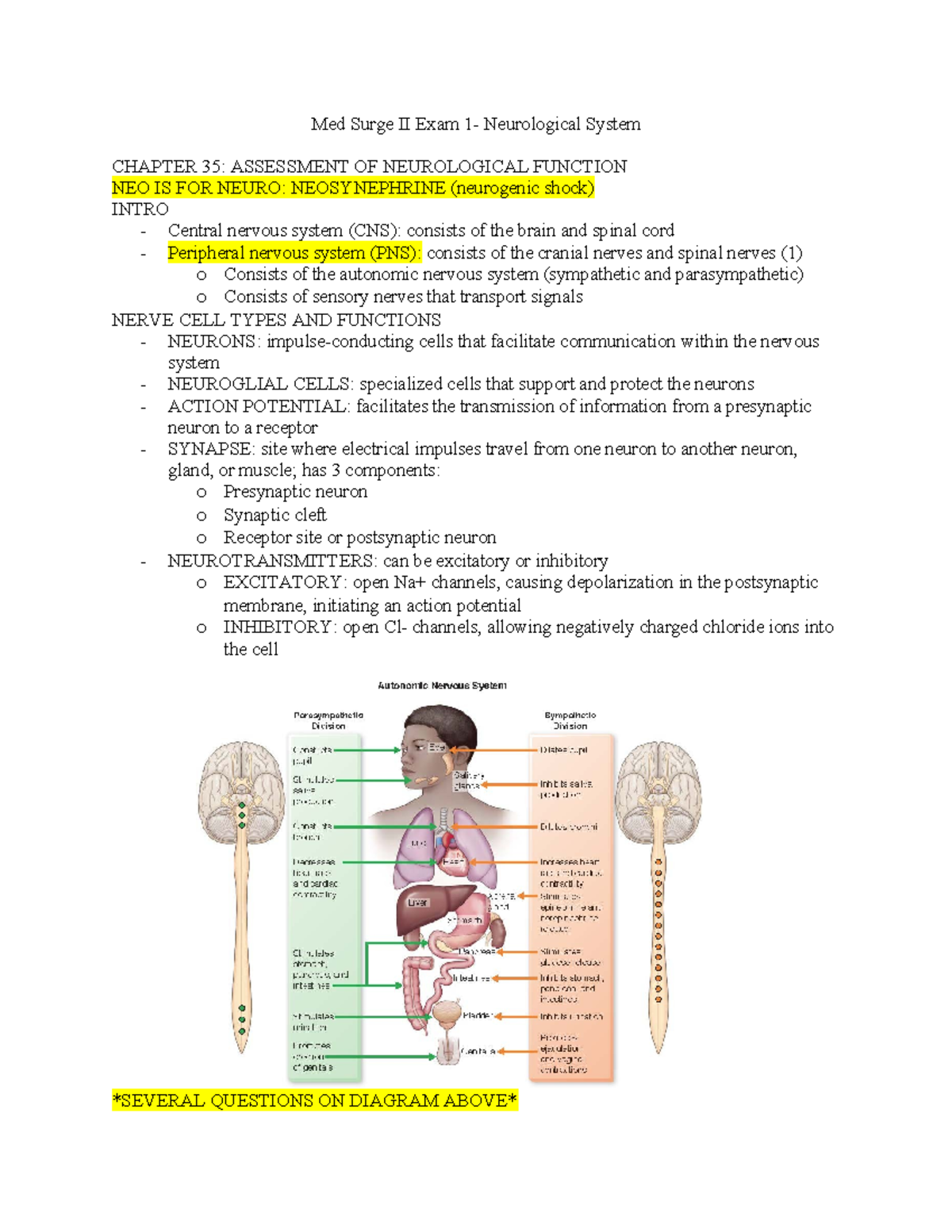 Med Surge II Exam 1 - Neurological Systems Overview and Key Concepts ...