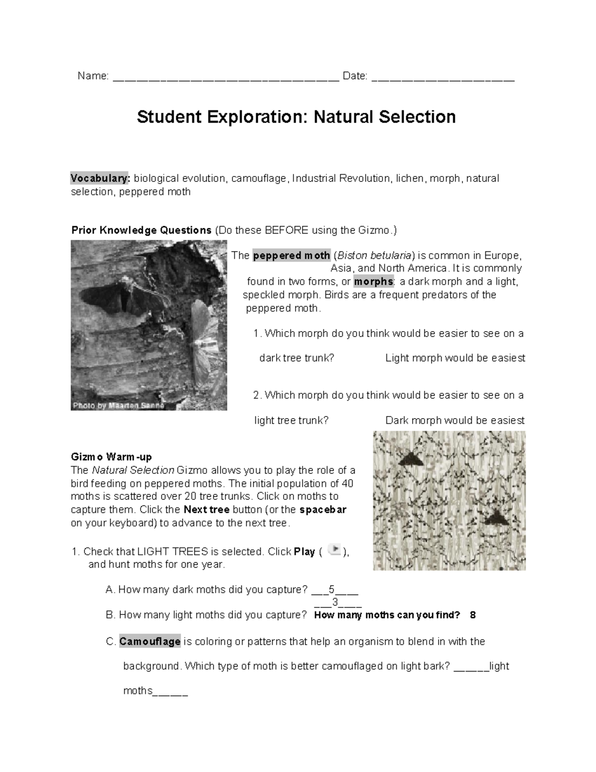 Natural Selection Exploration (Biology 101) Activity Guide - Studocu