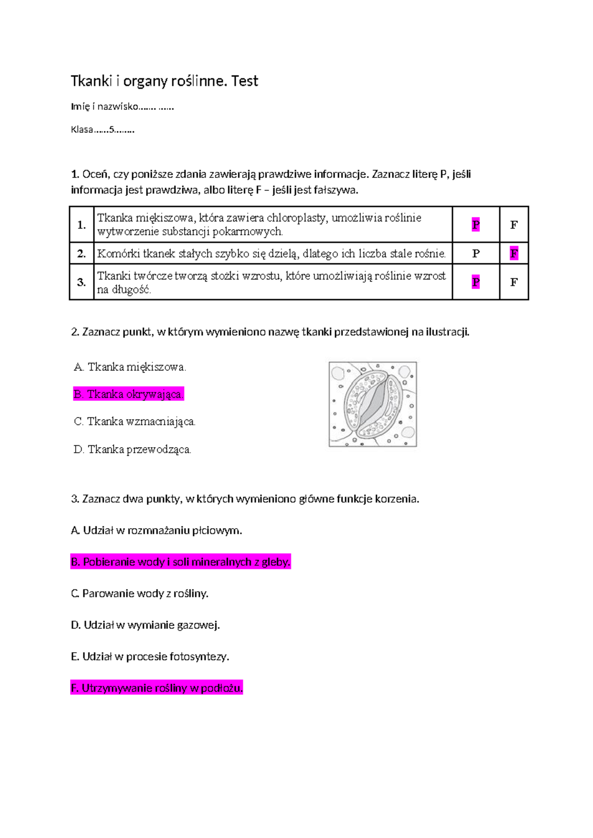 Tkanki i organy roślinne - Test do Oceny Wiedzy na Temat Tkankowej ...