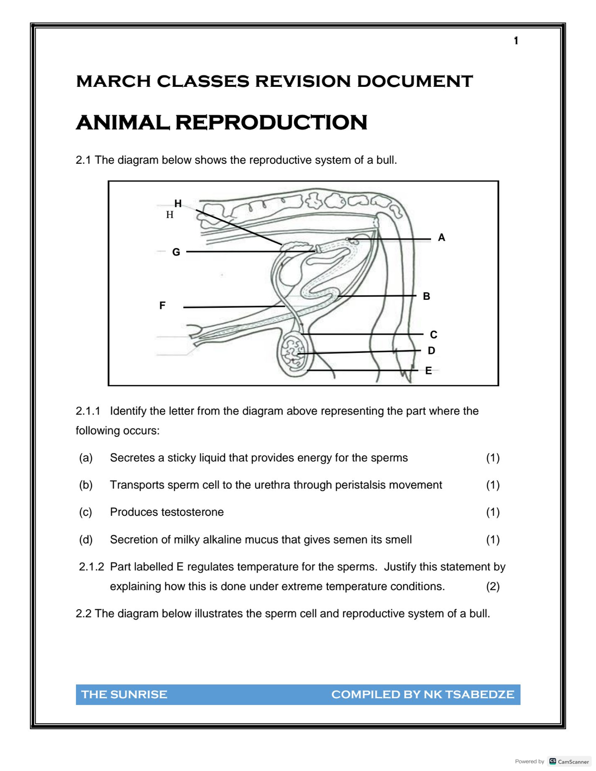 Animal Reproduction Revision Notes - Course Code: 2.1 - Studocu