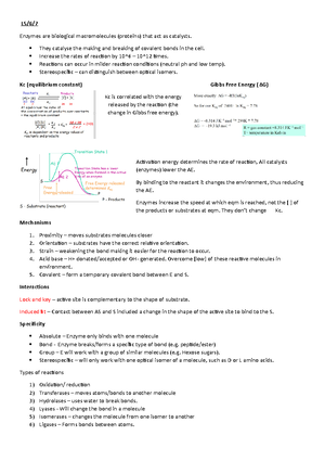 Understanding Protein Structure and Function: Biochemistry Overview ...