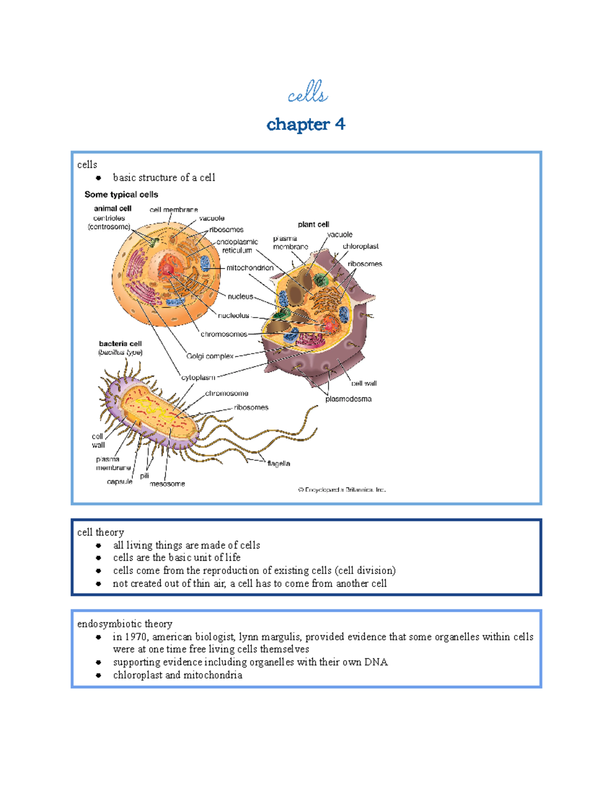 Biology 101: Chapter 4 - Comprehensive Notes on Cells and Organelles ...