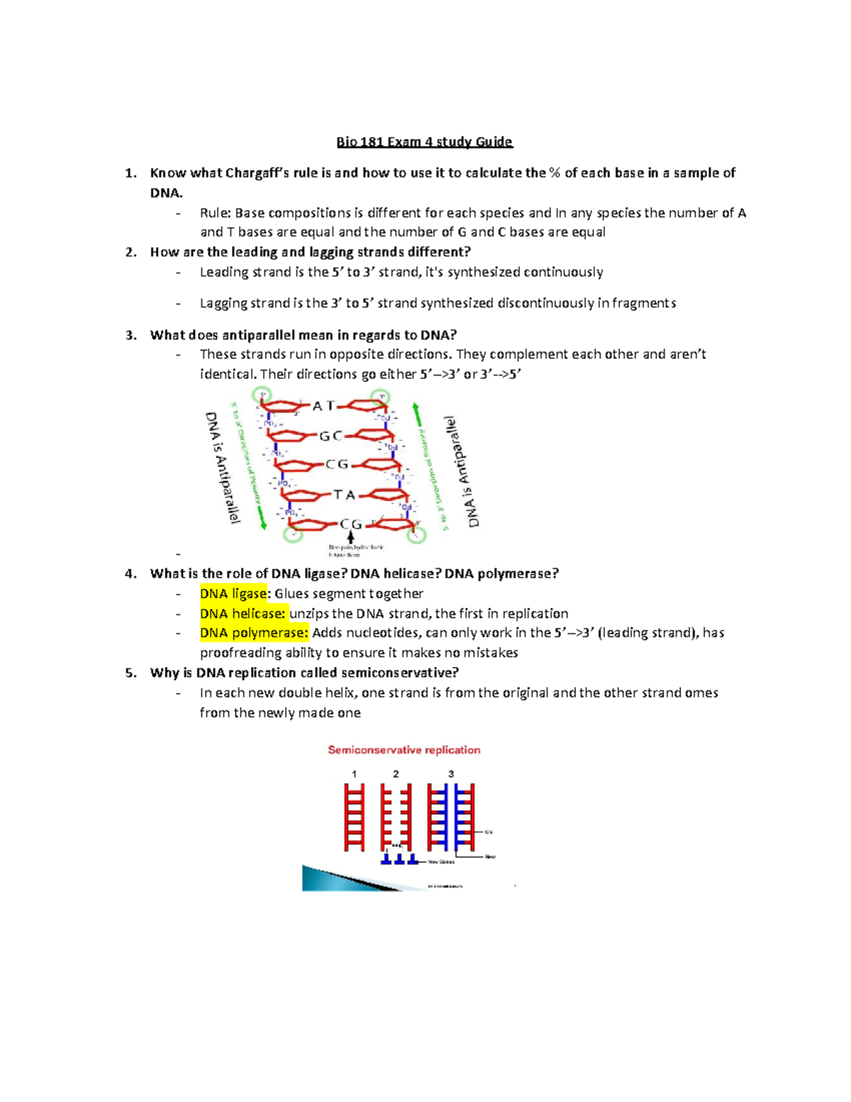 Bio 181 Exam 4 Study Guide: DNA, Mutations, and Evolution Concepts ...