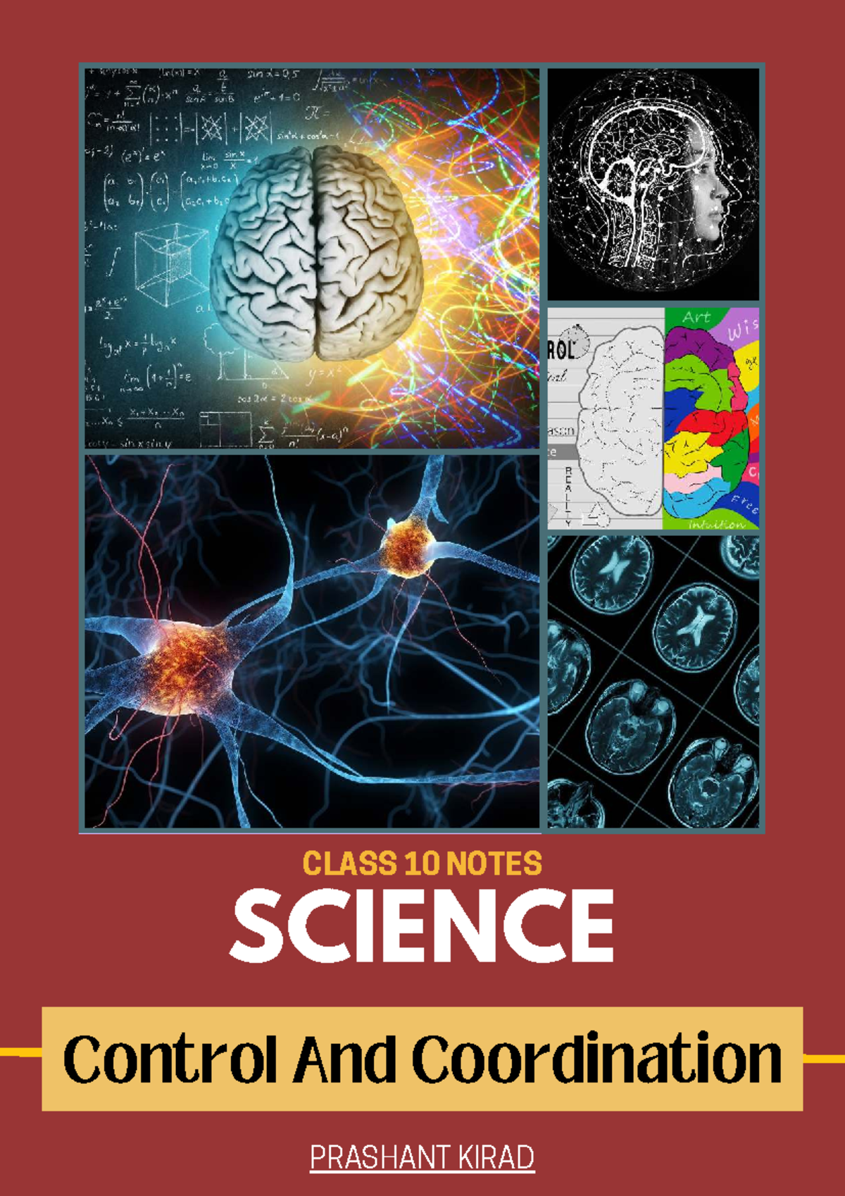 CLASS 10 SCIENCE NOTES: Control and Coordination in Nervous System ...