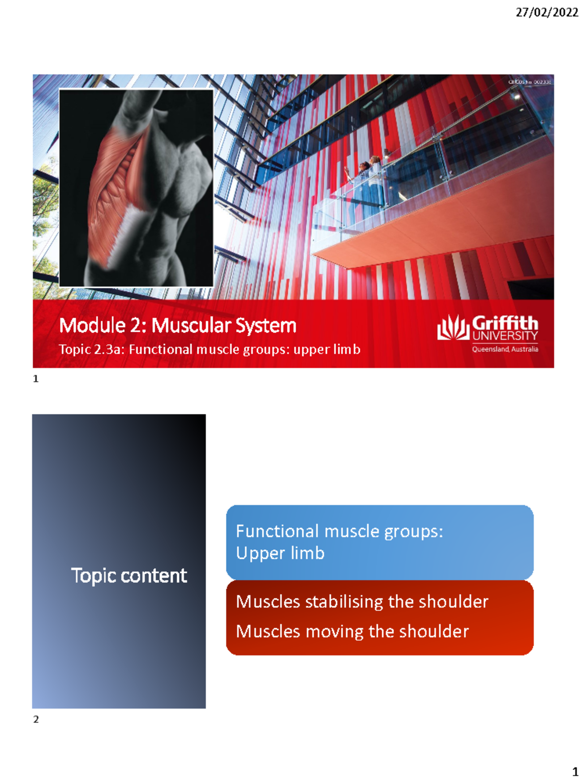 Upper Limb Functional Muscle Groups - Module 2 (Topic 2.3a) - Studocu