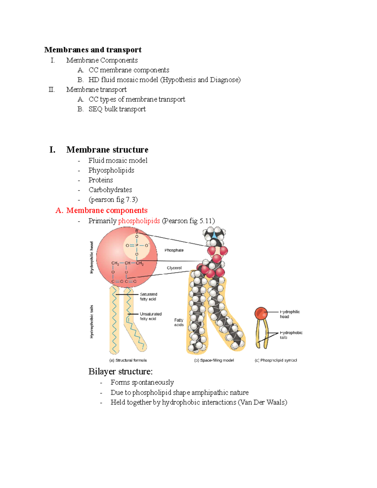 General Biology I: Membrane Structure & Transport Overview - Studocu