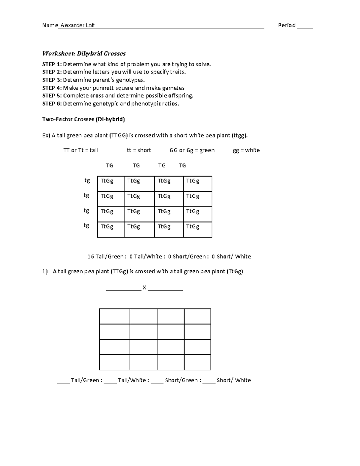 Dihybrid Cross Worksheet: Genotype & Phenotype Analysis - Studocu