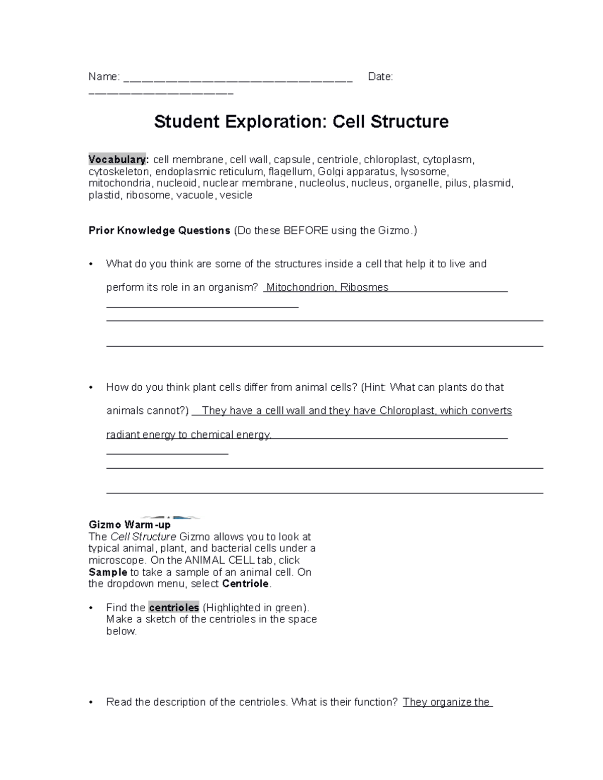 Cell Structure Exploration SE - Detailed Overview and Activities - Studocu