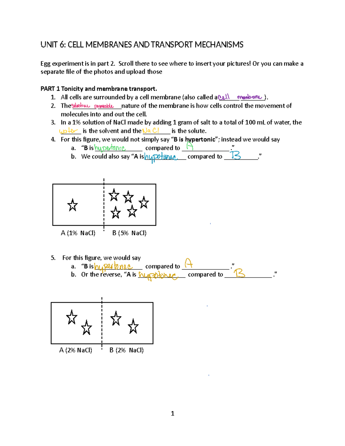 Bio 1140L Unit 6 Study Guide: Cell Membranes and Transport Mechanisms ...