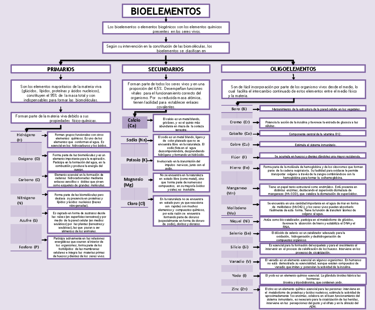Mapa Conceptual de los Bioelementos en Seres Vivos - Studocu
