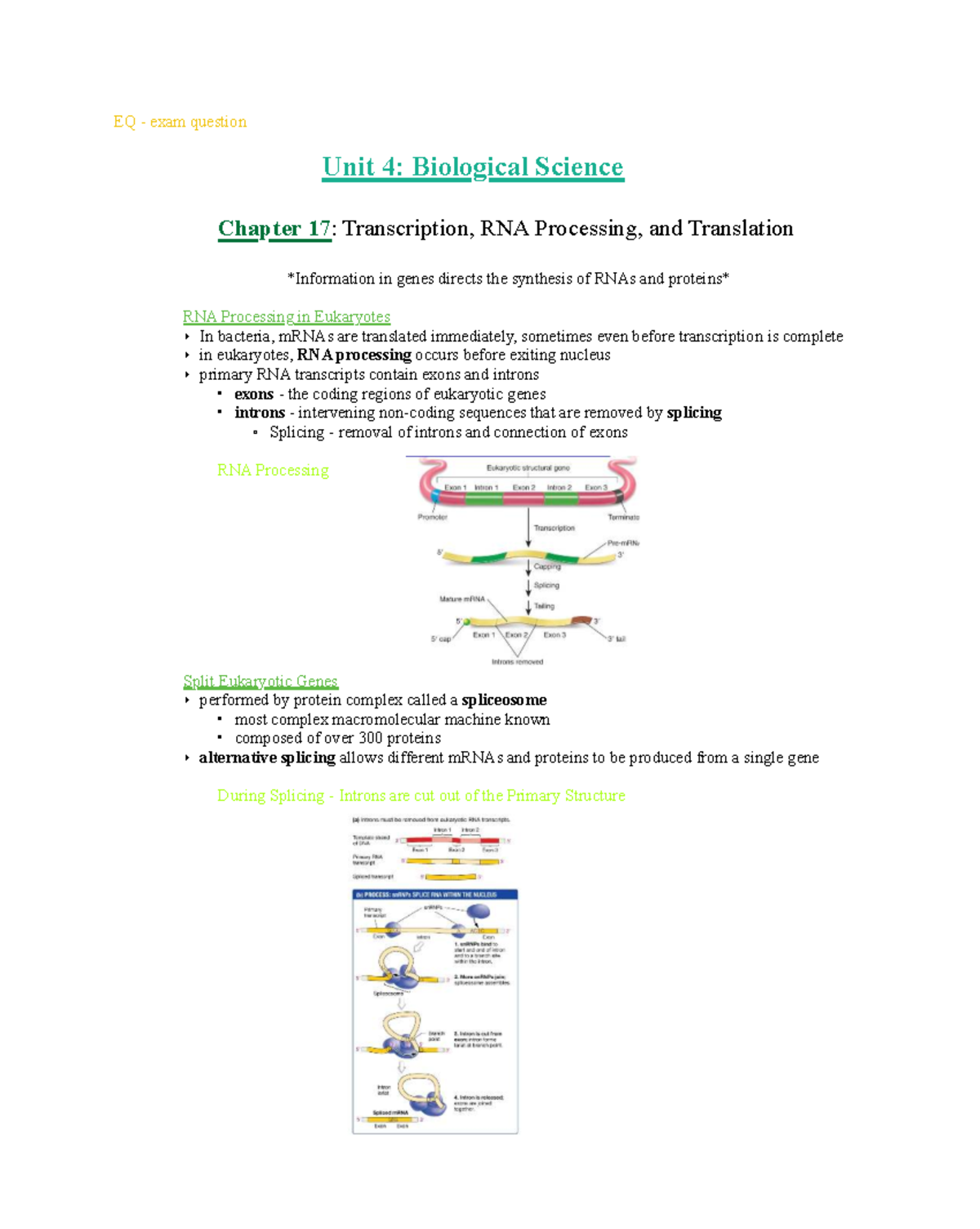 Unit 4: Biological Science - Chapter 17: mRNA Translation and ...