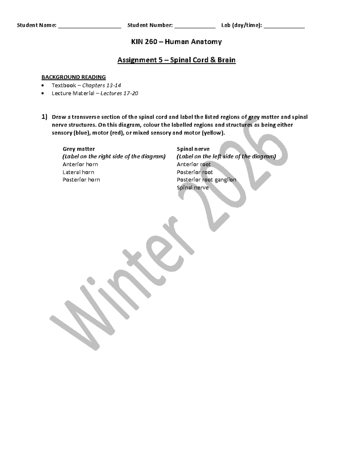 Lab KIN 260 - Assignment 5: Spinal Cord & Brain Overview - Studocu