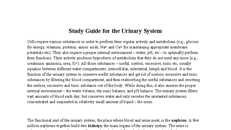Study Guide for the Urinary System (BIO 101) - Studocu