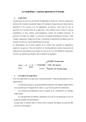 [Solved] Type de colonies qui se dveloppe sur le milieu drigalski ...