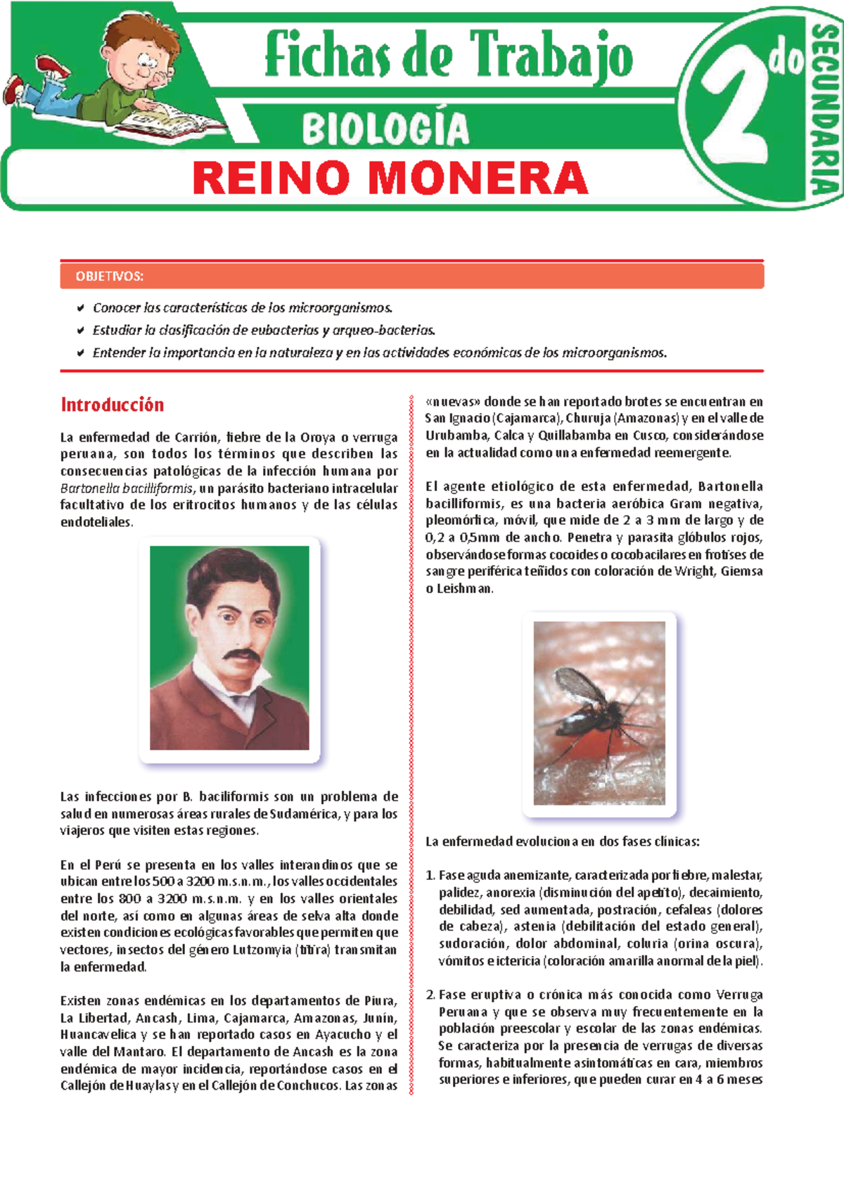 Reino Monera: Características y Clasificación de Microorganismos - Studocu