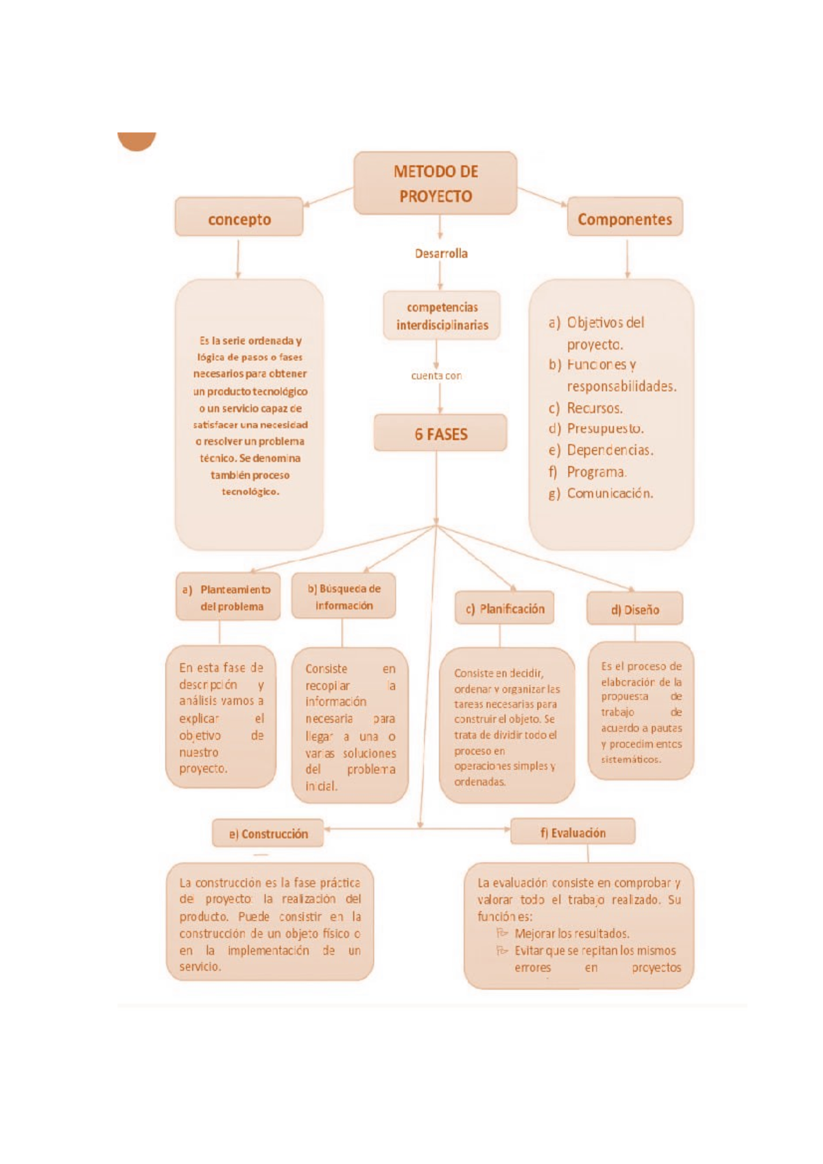 Entregable 1 - Organizador Gráfico: Importancia de la Anatomía y ...