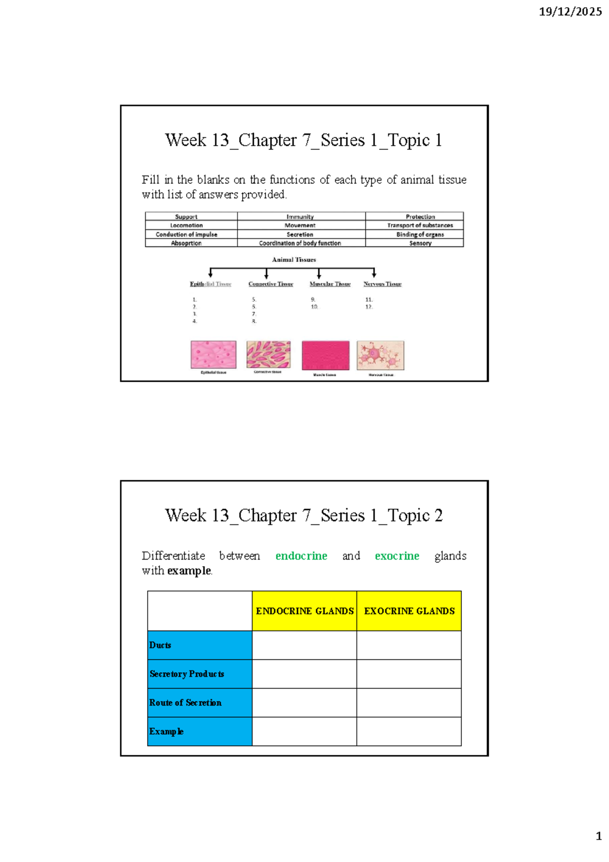 Week 13 Chapter 7 Series 1 - Histology of cell and tissue - 19/12/ 1 ...