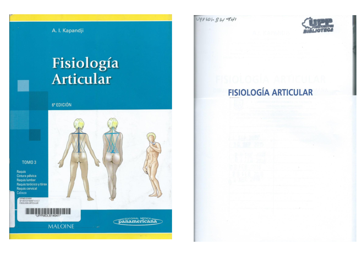 Fisiología Articular - Kapandji Tomo 3: Resumen y Contenido Clave - Studocu
