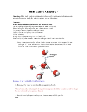 BIO 181 Ch. 12 & 13 Study Guide - Cell Cycle & Meiosis F23 - Studocu