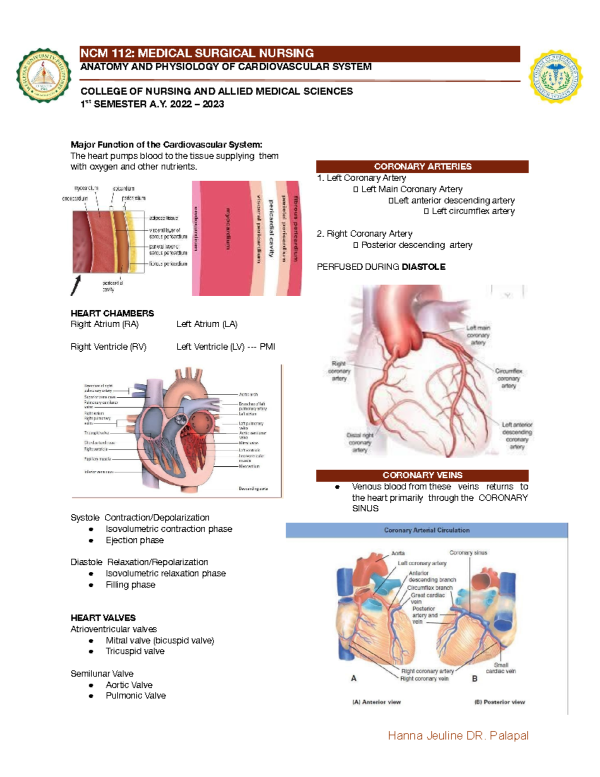 Cardiovascular system - ANATOMY AND PHYSIOLOGY OF CARDIOVASCULAR SYSTEM ...