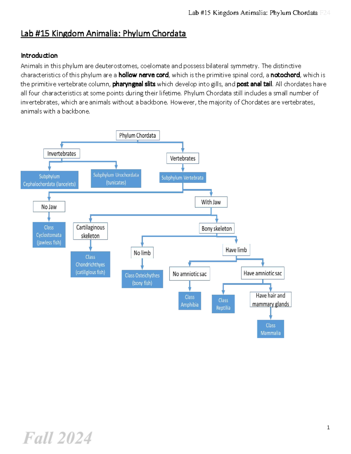 Lab #15: Understanding Phylum Chordata Characteristics and Classes ...