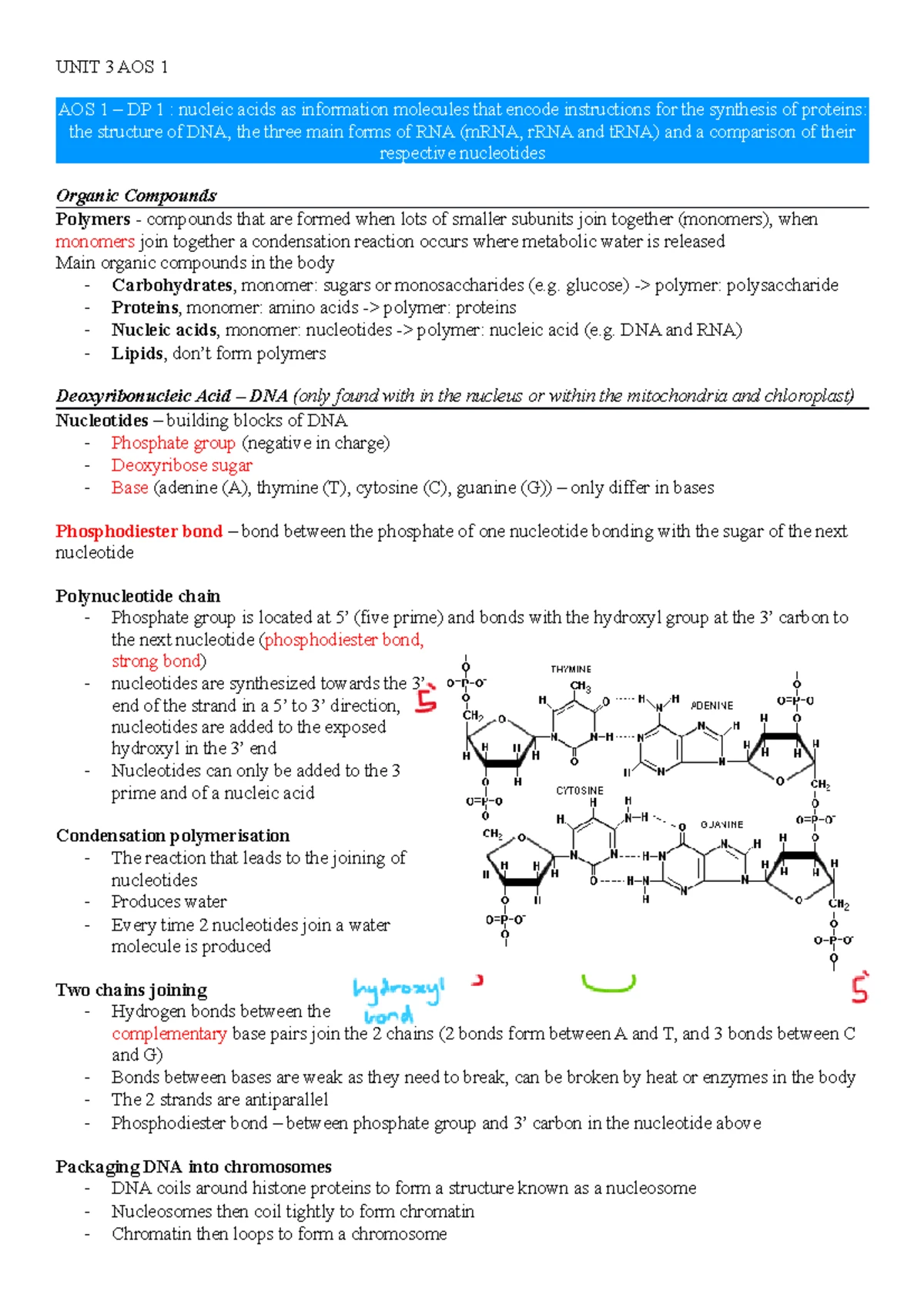 Unit 3 Biology SAC 2 2022: Investigating Photosynthesis & Respiration ...
