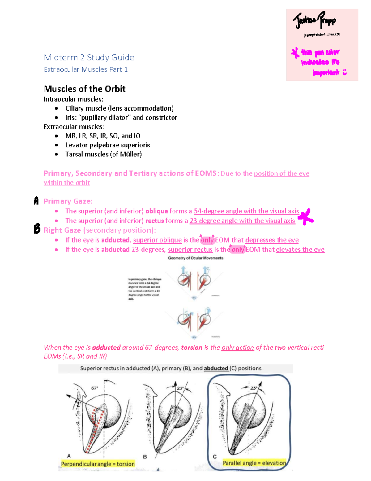 EOMs (Extraocular Muscles) Midterm 2 Study Guide Notes - Studocu