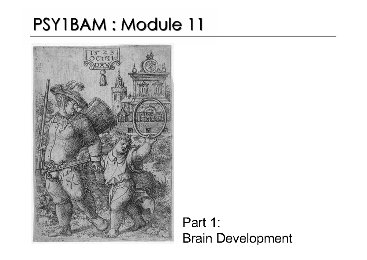 PSY1BAM: Module 11 - Understanding Brain Development and Neural ...