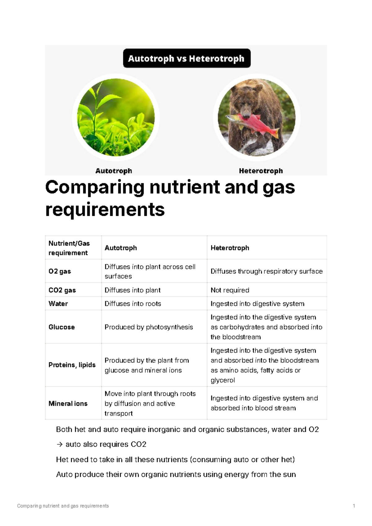 Comparing Nutrient and Gas Requirements: Autotrophs vs Heterotrophs ...