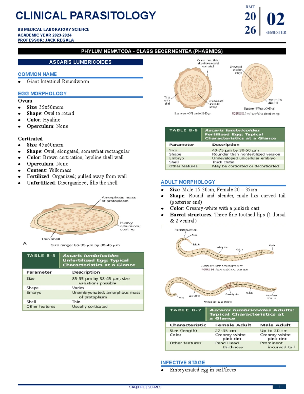 Capillary Puncture Techniques - Unit 7 Reviewer for Class 1234 Medic ...
