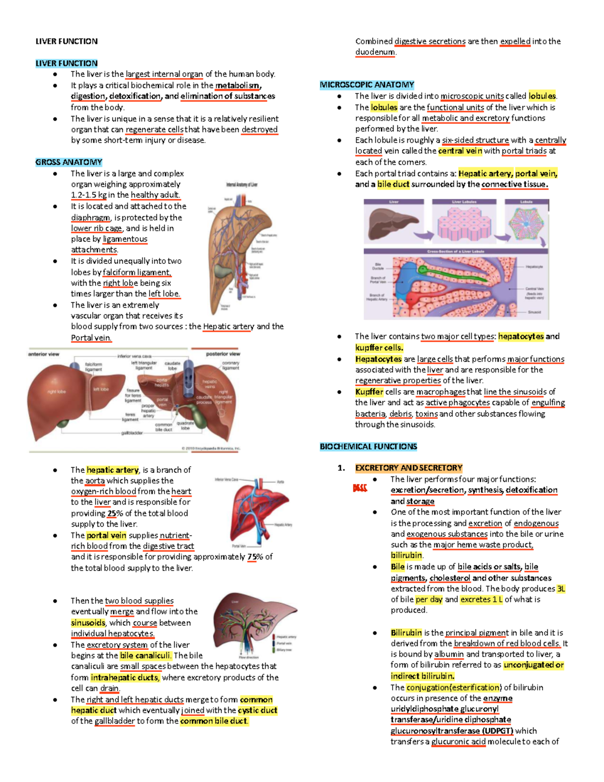 LIVER FUNCTION - Lecture Notes (BIO 101) - Studocu