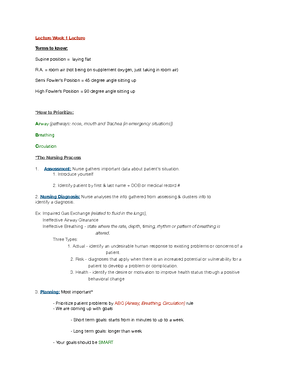 SIM Chart Note for Clinicals Template - Chart Notes for Clinical ...