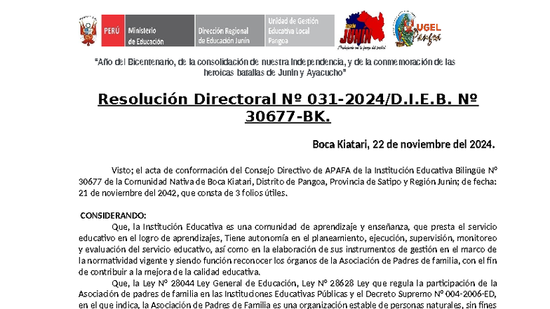 Reconocimiento del Consejo APAFA - I.E. 30677 - 2025-2026 - Document Preview