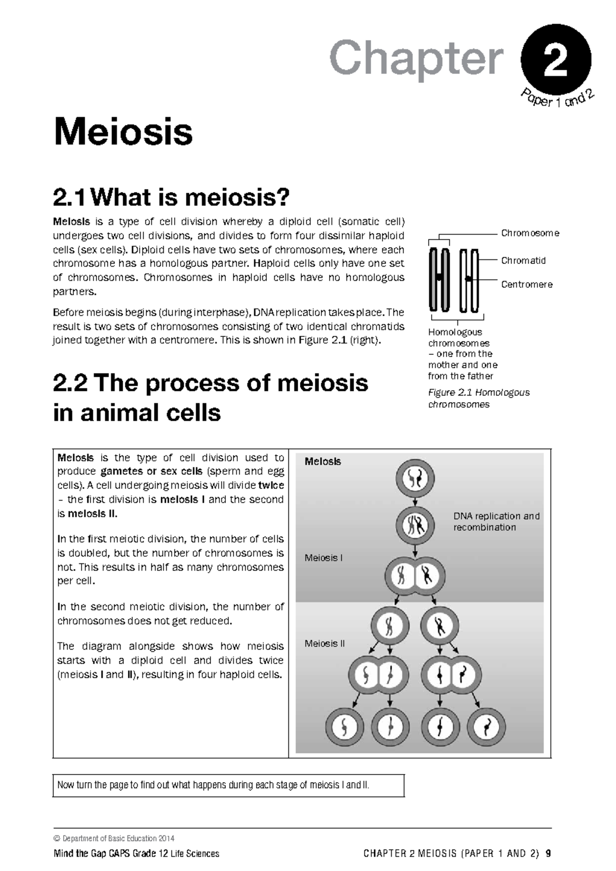 Chapter 2: Meiosis Overview and Key Concepts (Papers 1 & 2) - Studocu