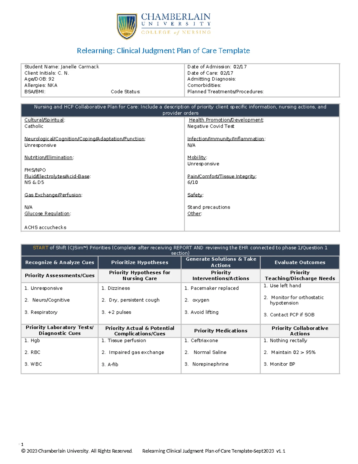 NR446 Clinical Judgment Care Plan - Assignment Template - Studocu