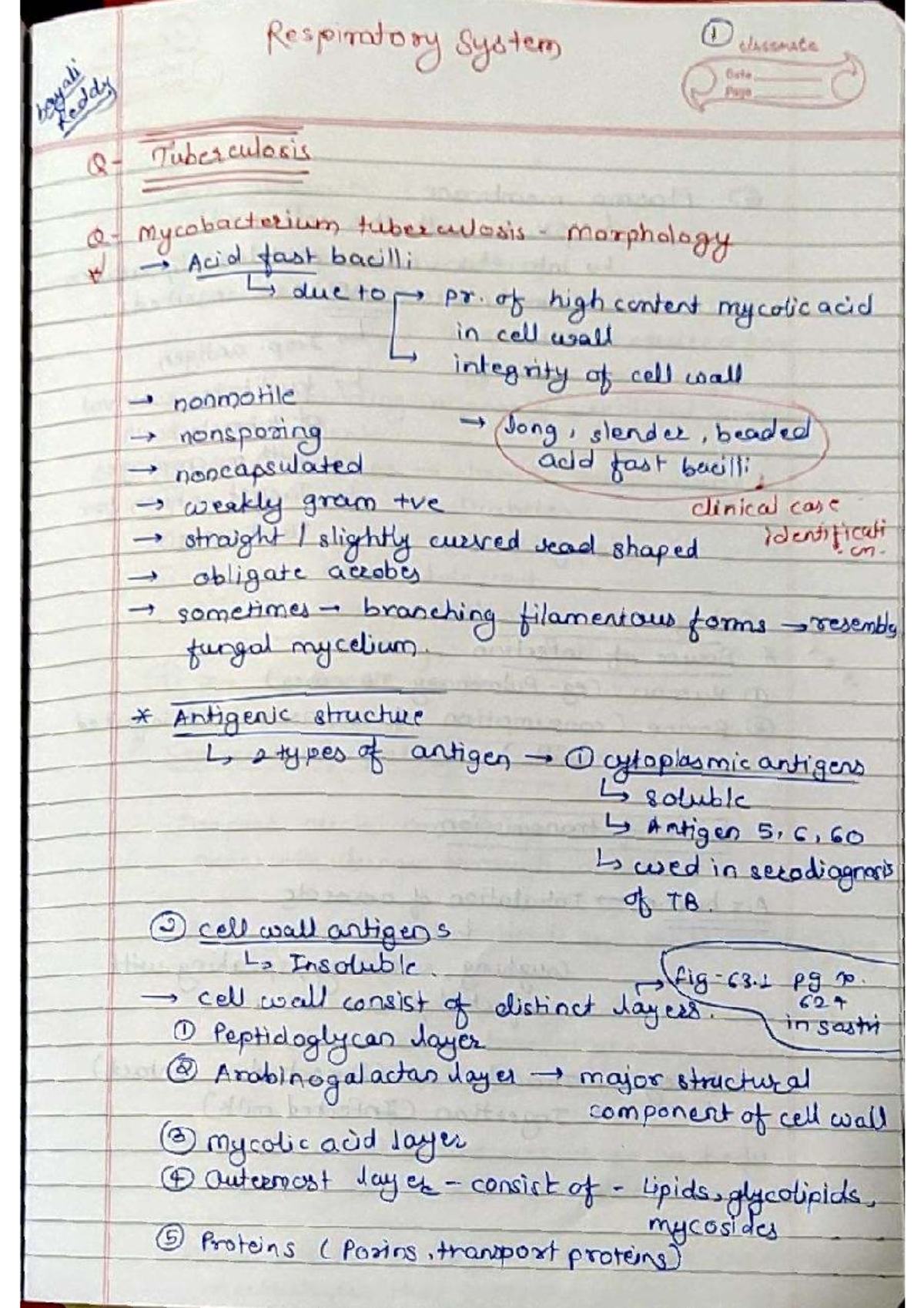 Micro-RS - Respiratory System I: Tuberculosis and Mycobacterium ...