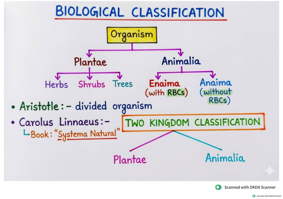 Biological Classification: Kingdoms and Features (Class 11) - Studocu