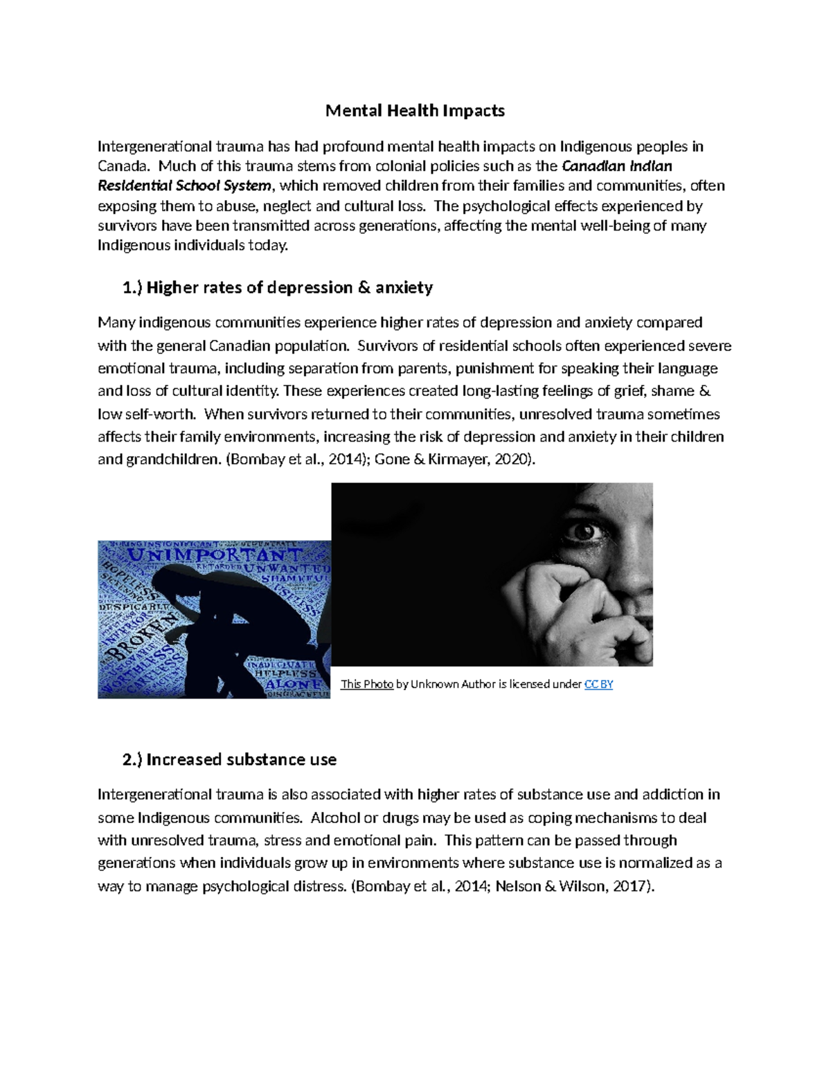 Mental Health Impacts of Intergenerational Trauma in Indigenous Peoples ...