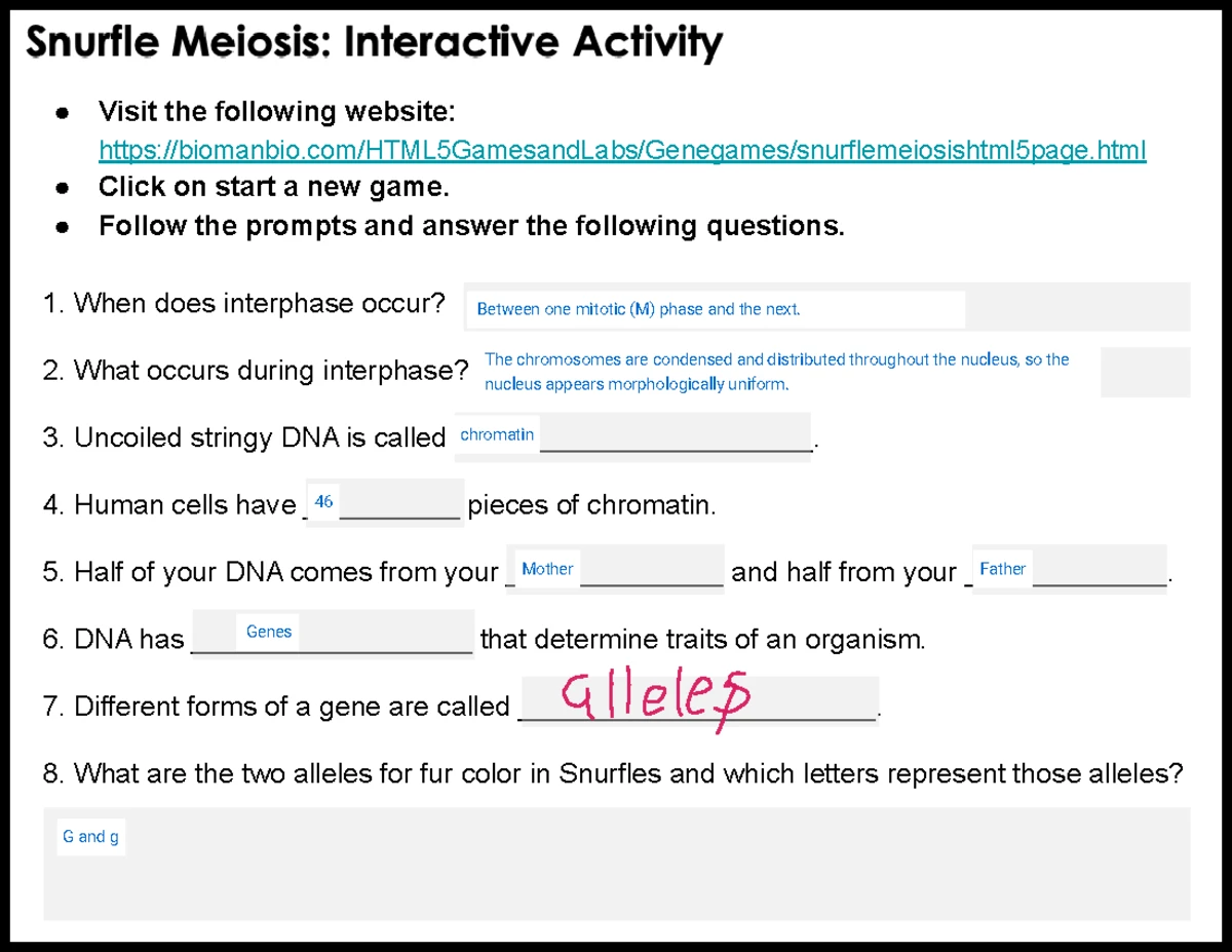 Star Trek Movie Questions: Analysis and Discussion Guide - Studocu