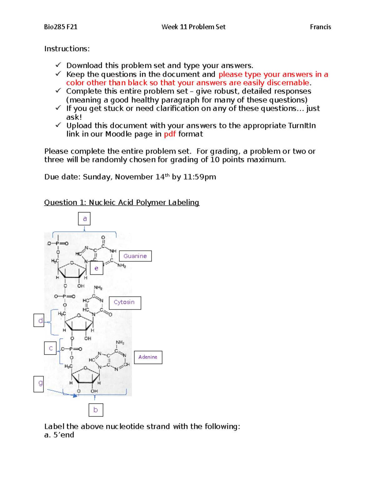 Bio285 F21 Week 11 DNA Replication Problem Set & Solutions - Studocu