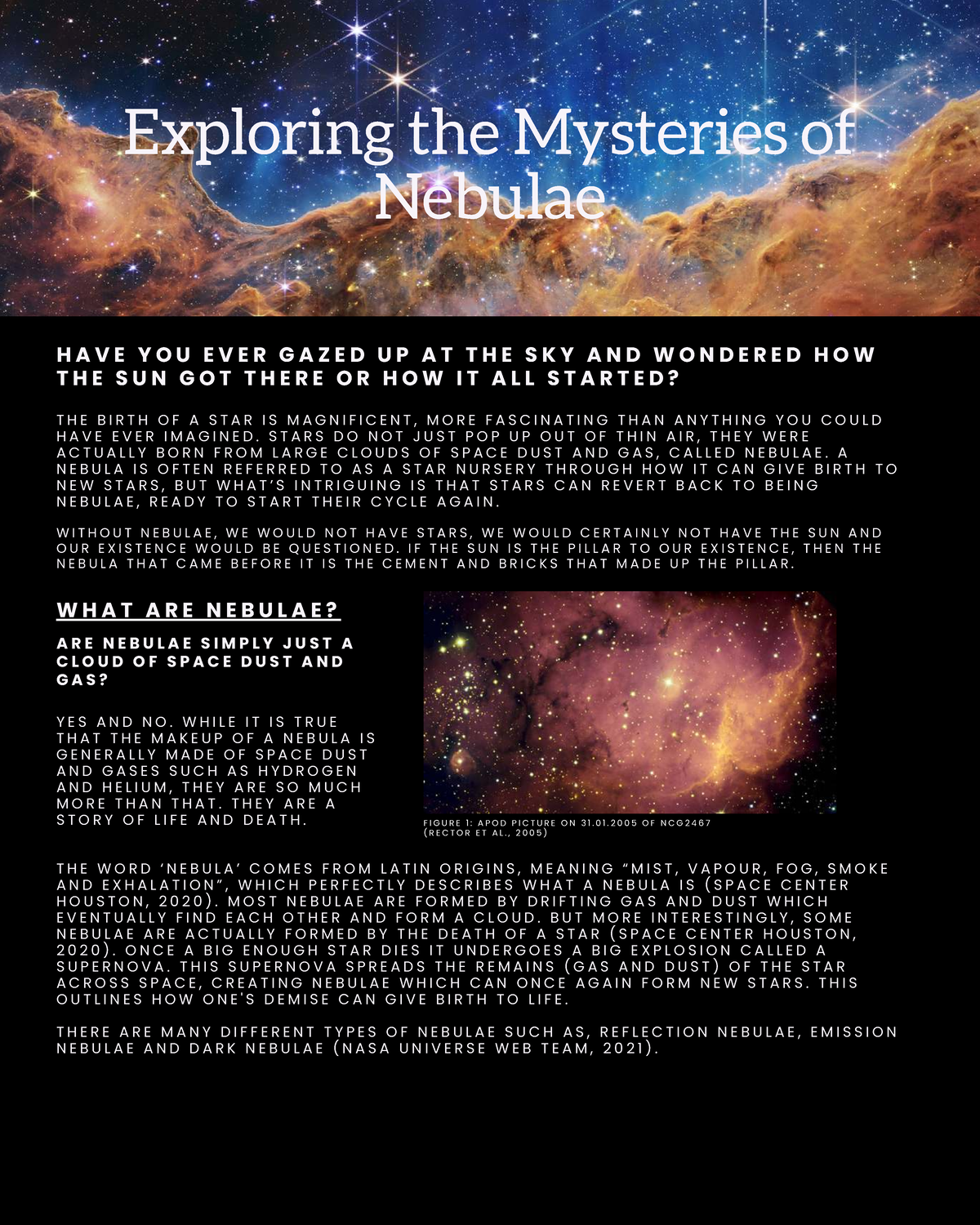 APOD 2023: The Birth and Life Cycle of Nebulae - Studocu