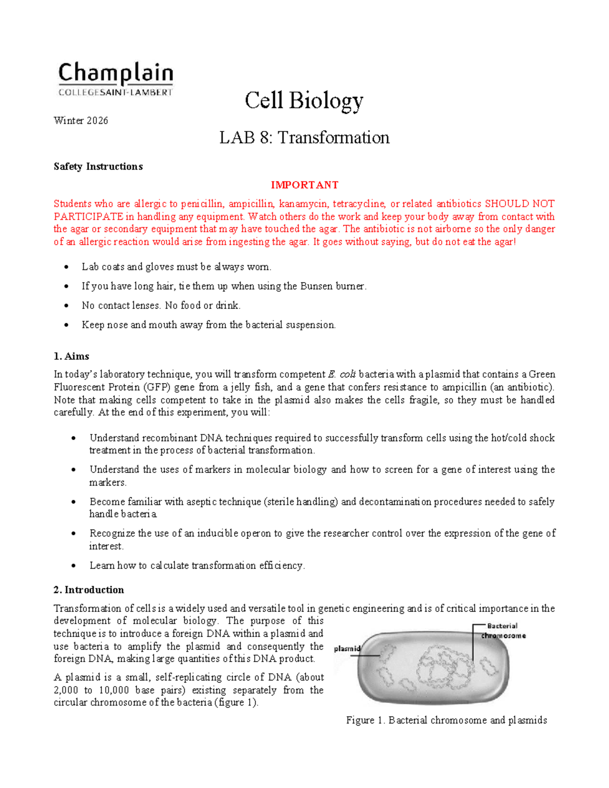Cell Biology Lab 8: Transformation - Winter 2026 - Studocu
