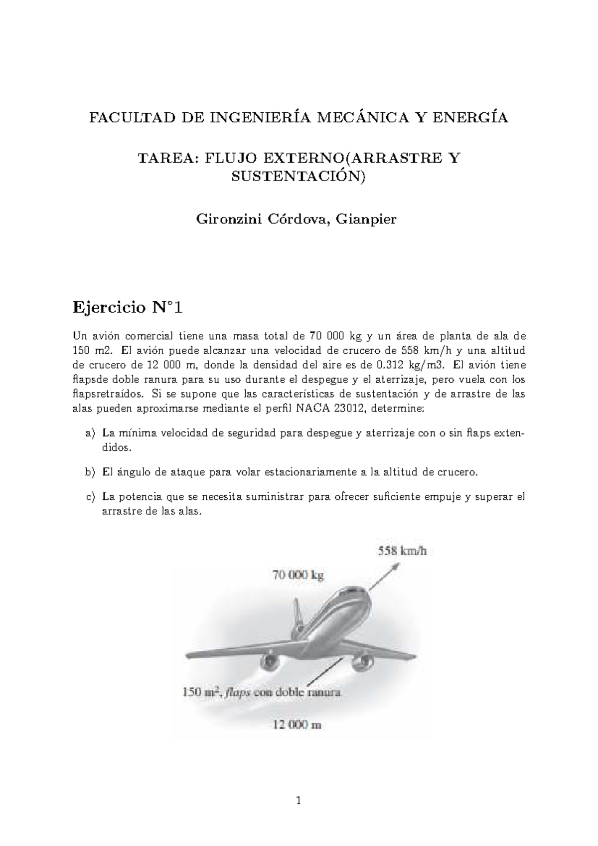 TAREA: FLUJO EXTERNO (ARRASTRE Y SUSTENTACIÓN) - Gironzini - Document Preview
